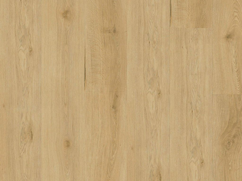 Click-Vinyl, CHECK One, 2519 Frontera Eiche, Lang- und Breitdiele, inkl. Trittschall (Kork), Comfort